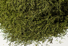 La Belle Verte,  Fenouil
