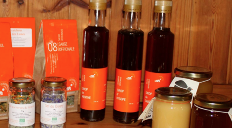 Les Naturicultrices d’Hotonnes, sirop d'hysope