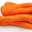 EARL de Montépain, carotte