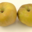 CSV Fruits, canada grise