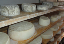 fromages de l'Alpage "Les Chappes"
