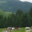 Alpage "Les Regottes"