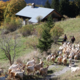 Alpage de Chalet Neuf / Famille Métral