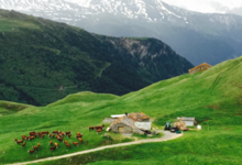 gaec de la Grande Casse