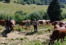  Alpage de la Cluse 