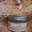 Foie gras Arnal, Ballottines de canard