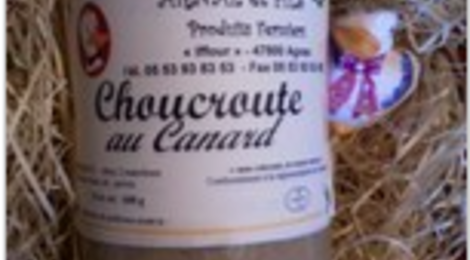 Choucroute au canard
