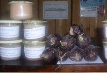 Autrucheland, rillettes d'autruche