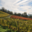 Domaine de Veronnet