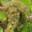  Caveau Joly Christophe 