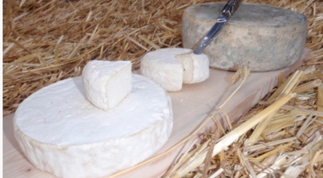 tomme de chèvre