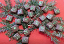 chocolat éphémère aux bourgeons de sapins