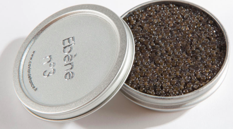 Caviar d’Aquitaine, produit en Gironde. Caviar No3