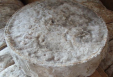 grosse tomme "Le montagnard"