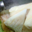 Crottin de chèvre fermier demi affiné