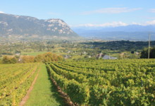  Domaine Dupraz 