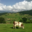 Ferme " Les Montagnards"