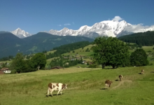 Ferme " Les Montagnards"