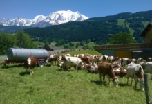 Ferme " Les Montagnards"