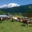 Ferme " Les Montagnards"