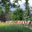 Ferme " Les Montagnards"