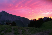  GAEC du Mont Chauffé , ferme Girard
