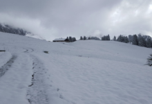  GAEC du Mont Chauffé , ferme Girard