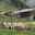  GAEC du Mont Chauffé , ferme Girard