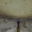 tomme de brebis
