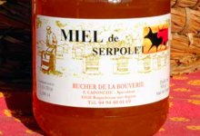 Rucher de la Bouverie, Miel de serpolet