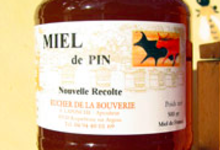 Rucher de la Bouverie, Miel de pin