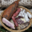 Gaec Le Chenêt , notre charcuterie