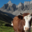  GAEC Le Fresnay - Alpage de Doran 