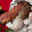 Boucherie Maulaz, saucissons