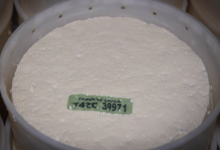 Gaec le Vuaz , tomme de Savoie fermière 