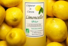 Lachanenche, limoncello
