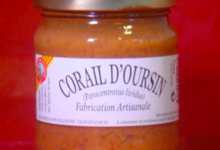 Corail d'Oursin