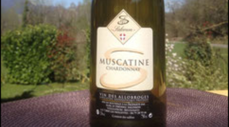Vins Salomon, chardonnay muscatine