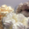 Meringues maison nature,orange, et chocolat