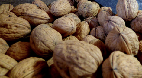 ferme des Bacholles, noix de Grenoble