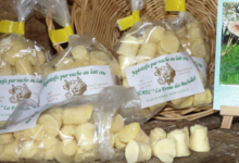 ferme des Bacholles, bouchon de vache