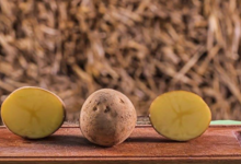 La ferme du Goubet, Pommes de terres