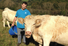 La ferme Rousset