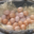 La ferme Rousset, oeufs fermiers