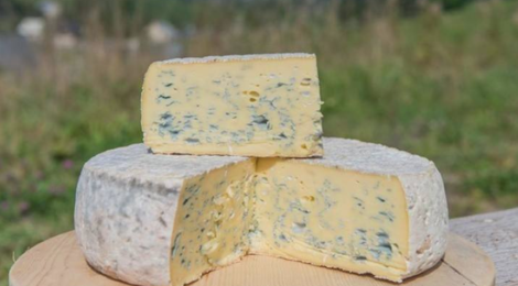 Gaec de la Motte, fromage