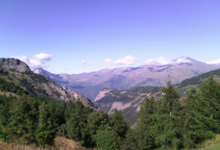 ferme de Ladroit, gaec la Sabaudia