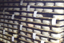 ferme de Ladroit, gaec la Sabaudia