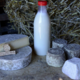 Chalet d'alpage "chez Pépé Nicolas", lait