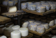 La chèvrerie des Combettes, fromages de chèvre