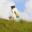 Boisier apiculture